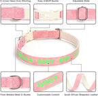 DOG WORLD Custom Fluorescent Dog Collar - Personalized Luminous Name & Phone Number for Night Safety, Fashionable & Easy-to-Use Pet Accessory, Ideal for Night Walks