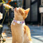 Unique Style Paws Pink Cat Collar,Breakaway Cat Collar with Bell & Pendant,Adjustable Cat Collar for Girl Boy Cats,Ideal Gift for Kitten