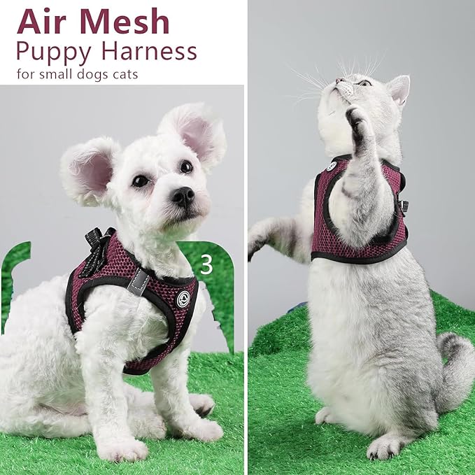 Step in Dog Harness Comfort Mesh Dog Vesr Harness Extra Small Pet Harness for Chihuahua Soft Padded Harness Lightweight Puppy Harness for Cat Doggie Outdoor Walking (Rose, Medium)