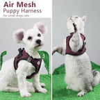 Step in Dog Harness Comfort Mesh Dog Vesr Harness Extra Small Pet Harness for Chihuahua Soft Padded Harness Lightweight Puppy Harness for Cat Doggie Outdoor Walking (Rose, Medium)