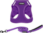 Best Pet Supplies Voyager Step-in Air All Weather Mesh Harness and Reflective Dog 5 ft Leash Combo with Neoprene Handle, for Small, Medium and Large Breed Puppies - Set (Purple), M