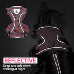PUPTECK Cat Harness and Leash Set Escape Proof Reflective Cat Walking Harness Adjustable Soft Breathable Mesh Vest for Small Pets, Pink Flowers, M