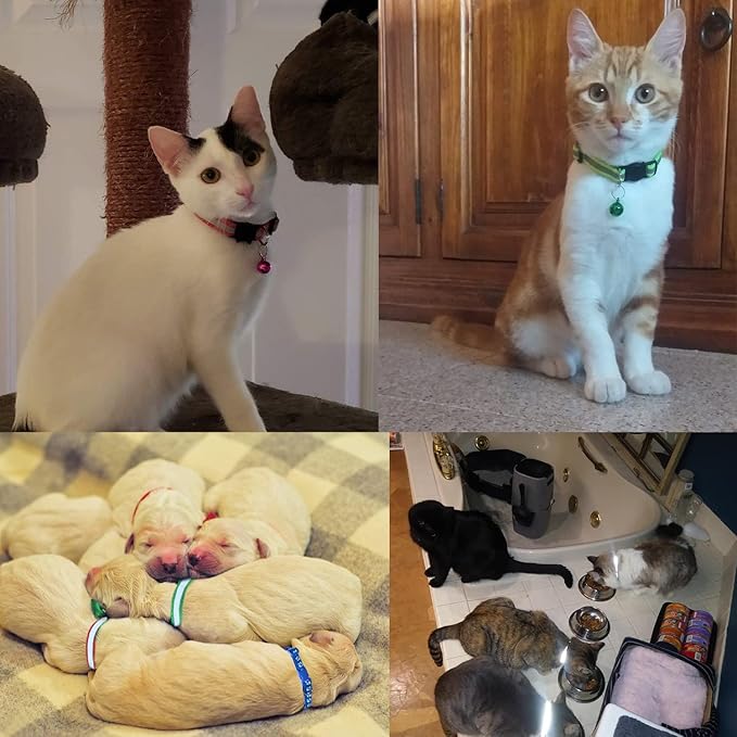 18Pcs Reflective Cat ID Collars with Bell Adjustable 19-32cm, Soft Nylon Adjustable Breakaway Identification Collars for Puppy Kittens