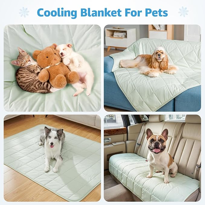 PICK FOR LIFE Cooling Blanket for Dogs, 0.4 Q-MAX Pets Cooling Comforter Throw for Bed Cover, Summer Blanket for Large Dogs Washable, Soft Lightweight Cold Mats for Pet Hot Weather (43"×55"/Green)