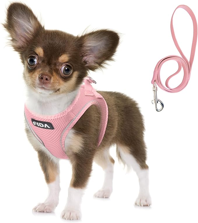 Fida Comfy Dog Harness with Leash, Soft Puppy Vest Escape Proof, Breathable Lightweight Soft Mesh, Adjustable Reflective Step-in Harness for Small Dogs Walking (S, Pink)