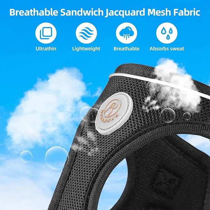 Soft Mesh Dog Harness and Leash Set, No Pull Puppy Harness and Leash Set, Reflective Step in Harness for Small Medium Dogs, Easy Walk Escape Proof Vest Harnesses (Black, S)