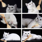Cat Toys 10Pack Silvervine Chew Stick Kitten Treat Catnip Matatabi Toy Kitty Natural Stuff Catnip for Cleaning Teeth Indoor Dental Snack Interactive