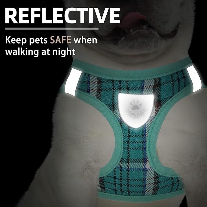 PUPTECK Adjustable Dog Harness Collar and Leash Set Step in No Pull Pet Harness for Small Medium Dogs Puppy and Cats Outdoor Walking Running, Soft Mesh Padded Reflective Vest Harnesses, Lake Green L