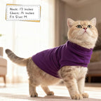EXPAWLORER Soft Cat Sweater - Sweaters for Cats Only Warm Kitten Clothes, Fall and Winter Pet Coat Pullover Design, Fleece Sweatshirt Clothing Also for Puppy Small Dogs, Purple S