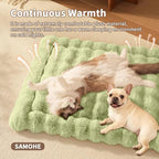 Self-Warming Cat Bed, Plush Faux Fur Pet Bed Mat with Anti-Slip Bottom, Ultra Soft Heated Bed for Cats & Medium Dogs, Cozy Fluffy Pad for Couch & Crate, Machine Washable, 27x20 Inch Green