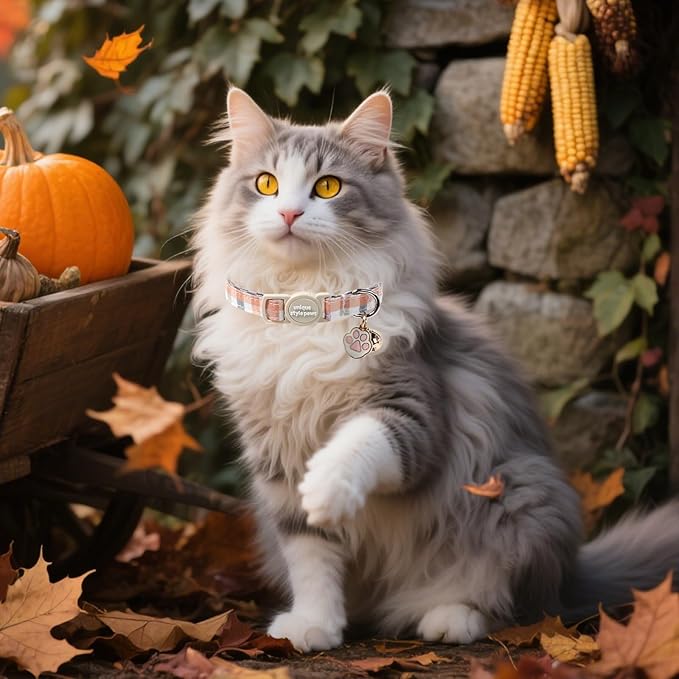 Unique Style Paws Orange Cat Collar,Cute Cat Collars with Checkboard Pattern,Orange Kitten Collar with Breakaway Buckle,Ideal Gift for Boy Girl Cats