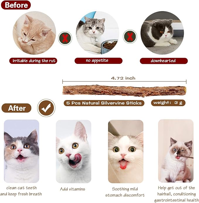Cat Toys for Indoor Cats - 3pcs 16 Inch Natural Wood Teaser Wand With Refills for Kitten Exercise and Play - Bonus 5pcs Catnip Sticks for Teeth Cleaning