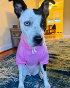 Blank Dog Sweatshirt Pet Hoodie for Large Dogs Doggie Clothes