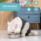 Avont Cat Recovery Suit - Kitten Onesie for Cats After Surgery, Cone of Shame Alternative Surgical Spay Suit for Female Cat, Post-Surgery or Skin Diseases Protection -Darkgrey(M)