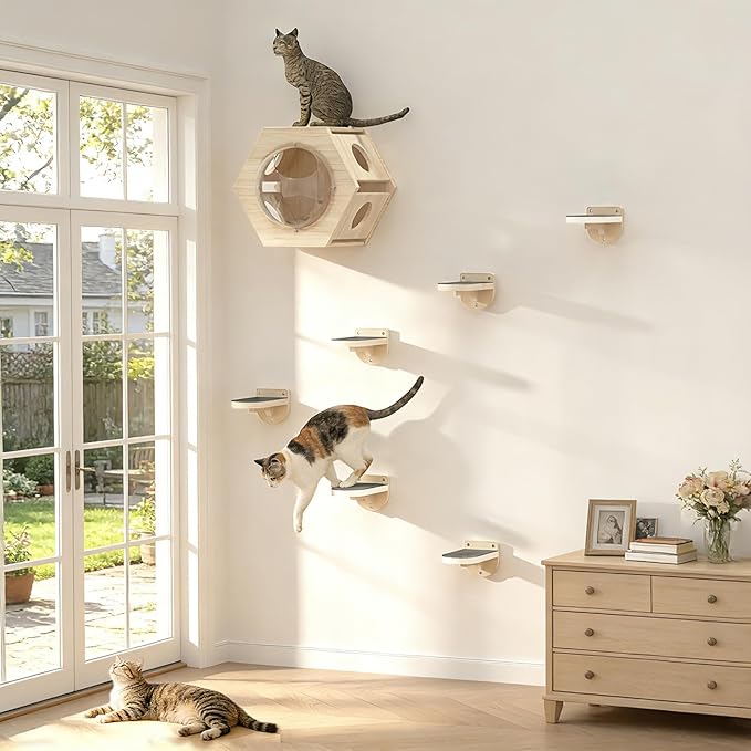 Cat Wall Shelves, 3 in 1 Cat Wall Furniture Set with Non-Slip Carpet, Wooden Wall-Mounted Kitten Climber Shelves for Jumping & Playing