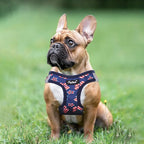 PUPTECK Dog Harness and Leash Set for Small Medium Dogs No Pull Step-in Soft Mesh Puppy Cat Vest Harnesses Reflective at Night, Stars and Strips, Blue, M