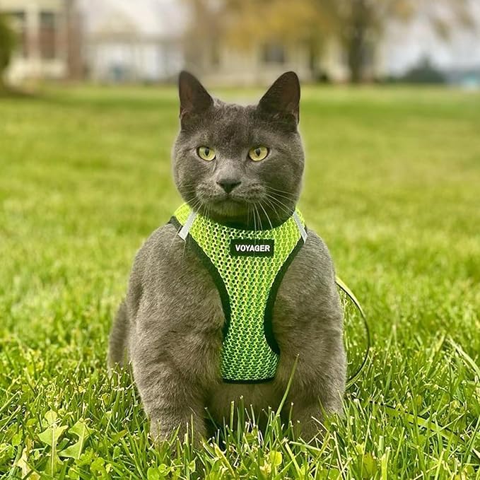 Best Pet Supplies - All Weather Mesh/Plush, Reflective, No Pull Harness for Small, Medium Dogs, Cats - Secure with Hook & Loop Fastener, Buckle, Double D-Rings - Lime Green 2-Tone, M
