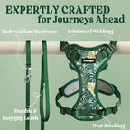 rabbitgoo Cat Harness and Leash for Walking, Escape Proof Soft Adjustable Vest Harnesses for Cats, Easy Control Breathable Reflective Strips Jacket,Rainforest Green,S