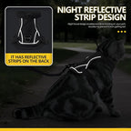 Cat Harness and Leash Set - Escape Proof, Adjustable Breathable Vest Harnesses with Reflective Strips, Easy Control & Secure Walking for Small Medium Large Cats Kitten Collar (Black, Small)