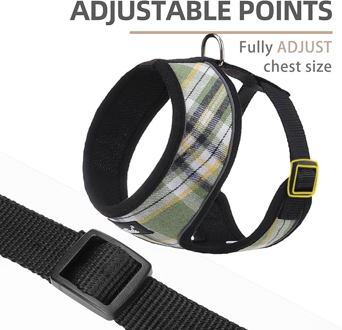 PUPTECK Soft Mesh Dog Harness and Leash Set Pet Puppy Cat Comfort Padded Vest No Pull Harnesses, Green/Yellow, L