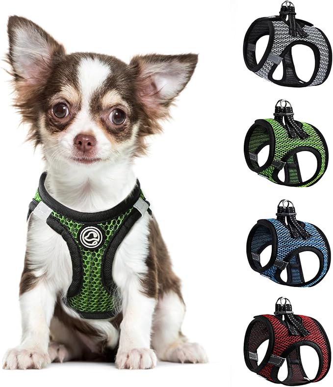 No Pull Small Dog Harness Tiny Dog Harness for Small Dogs Cats Chihuahua Harness Lightweight Extra Small Dog Harness Vest Reflective Step in Air Mesh Puppy Harness (Green, X-Small)