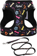 PUPTECK Dog Harness and Leash Set for Small Medium Dogs No Pull Step-in Soft Mesh Puppy Cat Vest Harnesses Reflective at Night, Black Paw, M