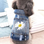 Dog Denim Jacket with Embroidered Daisy, Ripped Vintage Jean Vest for Small Dogs, Pugs, Chihuahuas, Spring Summer Autumn Festival Outfit