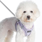 Sparkly Dog Harness Small Sized and Leash Set for Small Dogs Cats,Purple XXS Puppy Harness, Step in Soft Dog Reflective Vest, Breathable Mesh Pet Harness. (Purple, XXS)