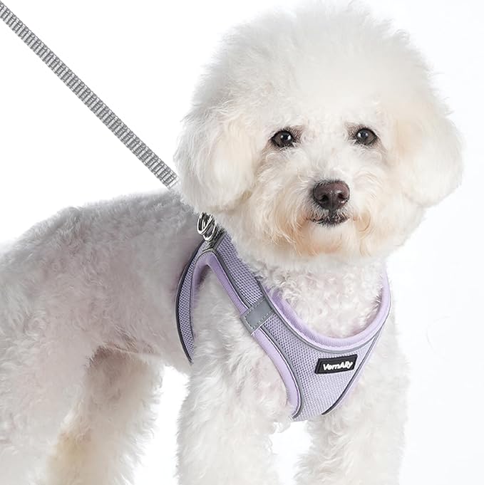 Sparkly Dog Harness Small Sized and Leash Set for Small Dogs Cats,Purple XXS Puppy Harness, Step in Soft Dog Reflective Vest, Breathable Mesh Pet Harness. (Purple, XXS)