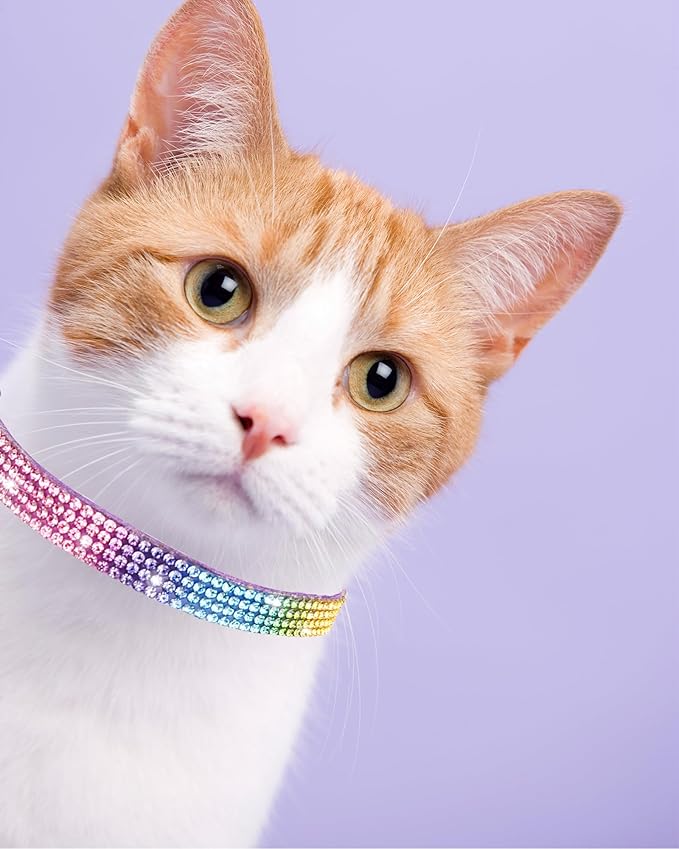 Cat Collars for Girl Cats with Rhinestone Soft Velvet,Breakaway Cat Collars with Bell,Adjustable Safe Kitten Collar (Multicolour Purple)