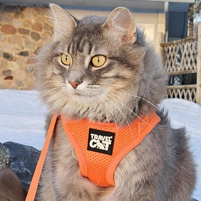 Travel Cat Harness and Leash Set - Adjustable Fit Mesh Cat Harness and Reflective Strap - Comfort Walking Vest for Kitten for Outdoor Walking, Hiking (Extra Small, Orange)