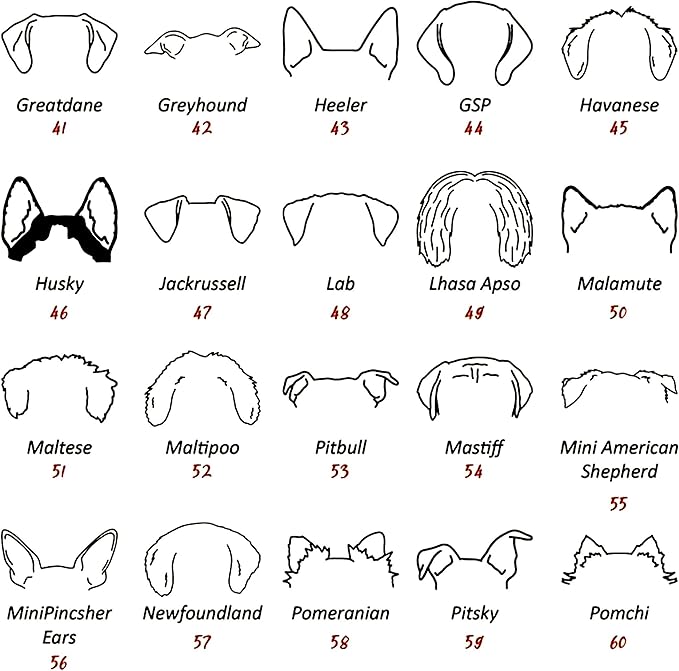 Personalized Dog Mom Sweatshirt, Custom Dog Ear Line Art Portrait Sweatshirt for Women, Pet Name Pullover Crewneck for Women, Customized Pet Lover Gifts, Mom Gift for Christmas Mothers 2