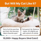 Cat Hammock with Industrial-Grade Suction Cups - Solid Pine Wood Seat, Soft Cushion - 42 lb Capacity