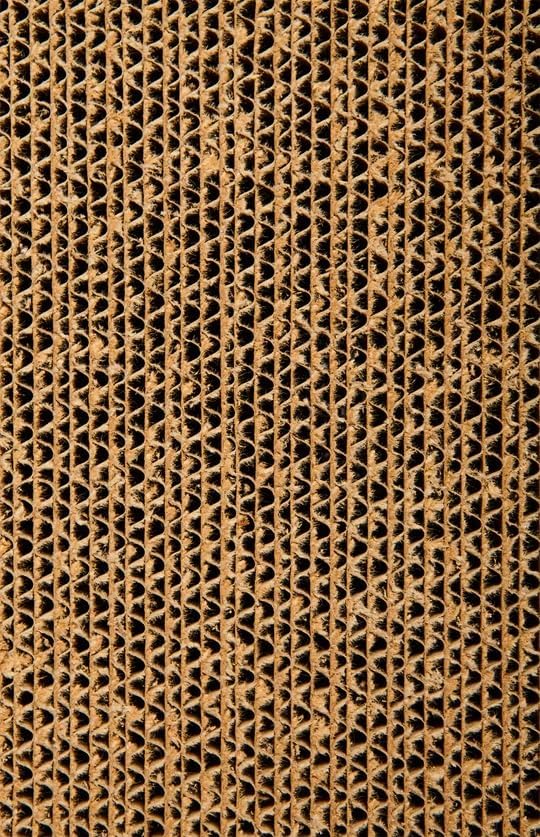Scratch Lounge Cardboard Cat Scratcher & Lounger for Large Cats - XL 13x22 with Reversible Floor & Catnip - Heavy Duty Durable Bed Lasts 10x Longer Than Conventional Scratchers