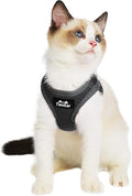 TwoEar Cat Harness Escape Proof, Soft Dog Vest Harness Adjustable, Breathable Mesh Step-in Puppy Walking Jacket Reflective Easy Control for Extral Small Pets for Outdoor Walking(XXS, Black)