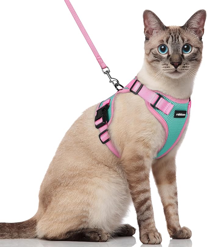 rabbitgoo Cat Harness and Leash Set, Escape Proof Soft Adjustable Vest Harnesses for Outdoor Walking, Easy Control Breathable Kitten Jacket with Reflective Strips, Green & Pink, S