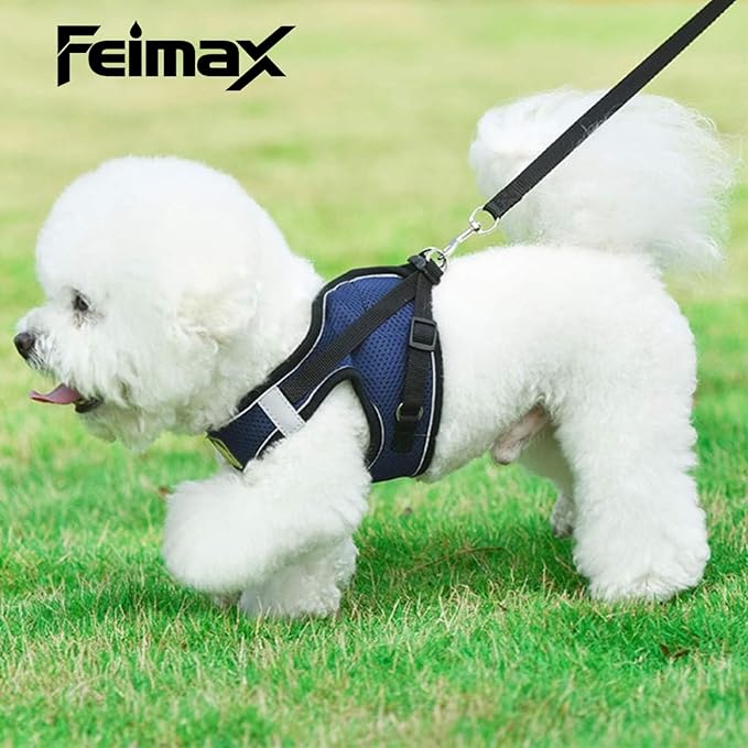 FEimaX Dog & Cat Harness Set, No Pull Soft Mesh Reflective Adjustable Pet Harness for Small to Large Dogs & Cats - Easy Control for Walking