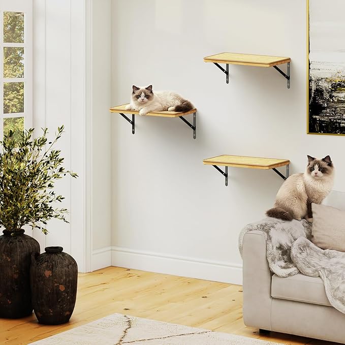 3Pcs 14"×8" Large Cat Wall Shelves - Wall Mounted Cat Shelves, Natural Wood with Fixtures for Large Cats and Kittens for Household Pets Sleeping, Playing, Climbing