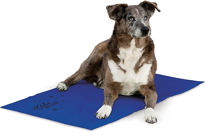 K&H Pet Products Coolin' Pet Pad Dog Mat, Portable Dog Cooling Mat for Travel or in Home, Perfect for Carriers, Crates, Outdoor Houses, Yards, Porches, Pet Beds & More - E-Large 38 X 27in Chill Blue