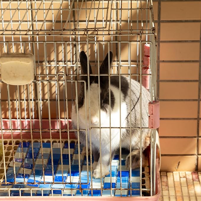 Mosaic Ice Mat for Hamsters, Rabbits and Small Pets, Summer Cooling Pad, Temperature Reducing Pet Mat