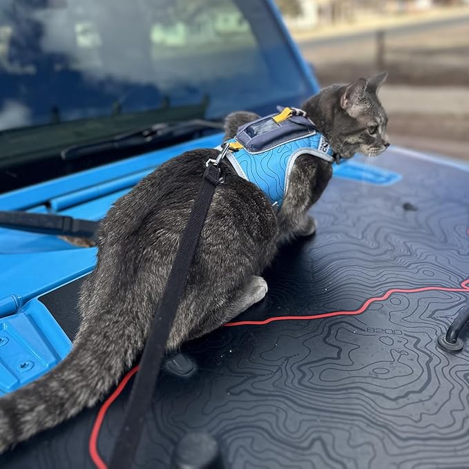 Travel CAT The Pathfinder Cat Harness with GPS Tracker Pocket - Powered by Tractive Cat Harness Escape Proof - Walking Escape Proof Harness for Small, Large Cat, Kitten (Blue, Small)
