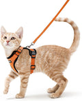 rabbitgoo Cat Harness and Leash for Walking, Escape Proof Soft Adjustable Vest Harnesses for Cats, Easy Control Breathable Reflective Strips Jacket, Orange, S