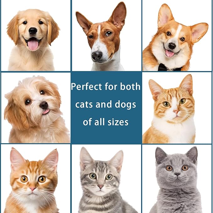 Pet Steam Brush Spray Refill for Dogs & Cats – Concentrated Waterless Shampoo, 3-in-1 Grooming Spray Comb Mist, 1*Shampoo(Steam Brush not Included)