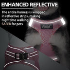 PUPTECK Dog Harness and Leash Set for Small Medium Dogs No Pull Step-in Soft Mesh Puppy Cat Vest Harnesses Reflective at Night, Upgraded New Pink L