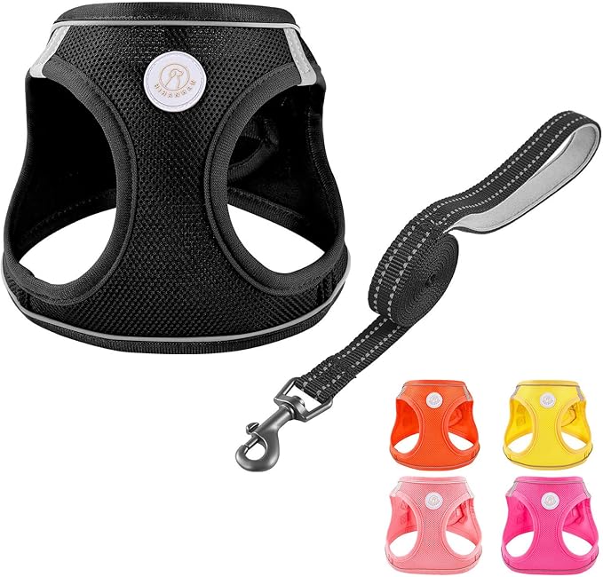 Soft Mesh Dog Harness and Leash Set, No Pull Puppy Harness and Leash Set, Reflective Step in Harness for Small Medium Dogs, Easy Walk Escape Proof Vest Harnesses (Black, S)