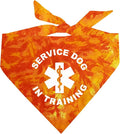 Service Dog in Training Dog Bandana (Orange Scrunch, OS 289)