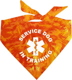 Service Dog in Training Dog Bandana (Orange Scrunch, OS 289)