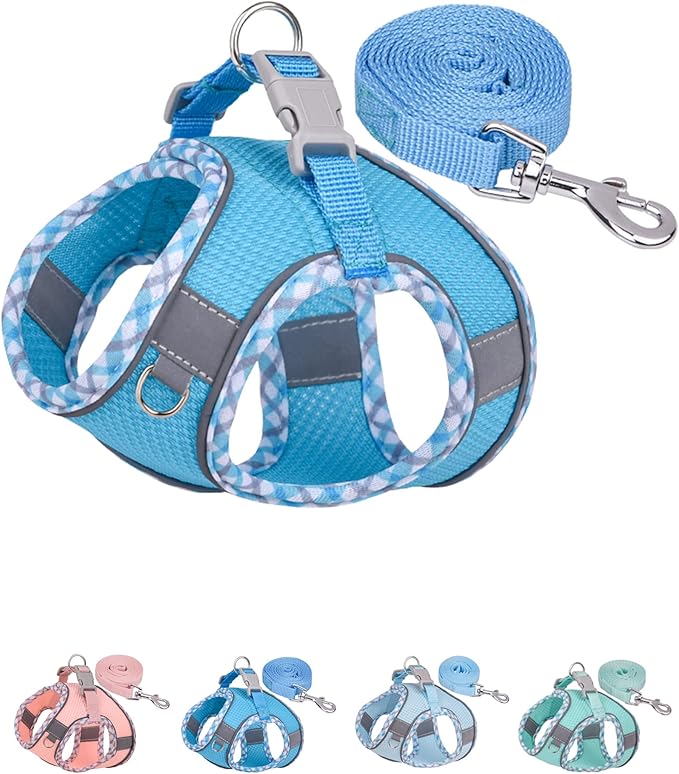 Petank Dog Harness for Small Medium Dogs No Pull, Puppy Harness and Leash Set, Step in Dog Harness for Walking, Running, Training, Small Dog Vest, Medium Dog Vest (Bule, M)