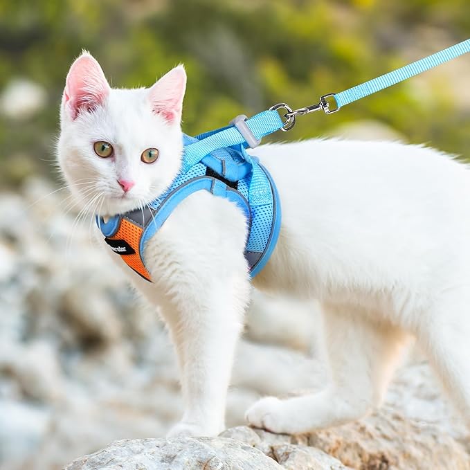 Dooradar Cat Harness and Leash Set, Escape Proof Lightweight Kitten Harness, Soft Breathable Reflective Vest for Outdoor Walking Traveling, Adjustable for Large Cats, Orange & Blue, L