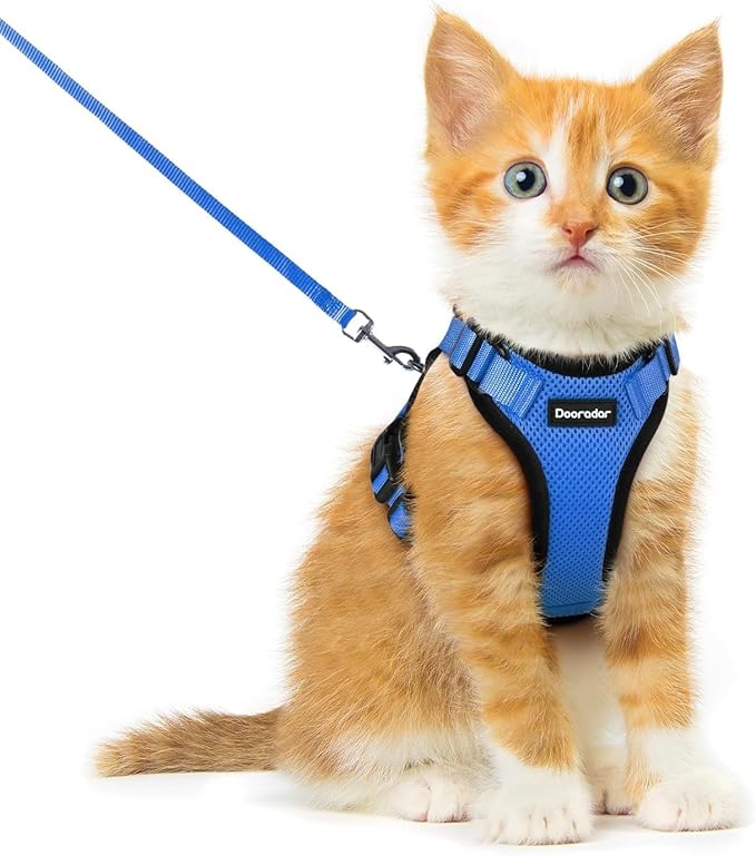 Dooradar Cat Harness and Leash Set, Escape Proof Safe Adjustable Kitten Vest Harnesses for Walking, Easy Control Soft Breathable Mesh Jacket with Reflective Strips for Cats, Blue, XXS